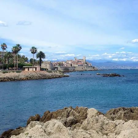 Roi Chevalier Antibes